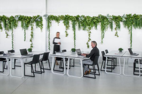 Salt Dinner white HC white - Kasar chair black Salt Dinner white HC white - Kasar chair black