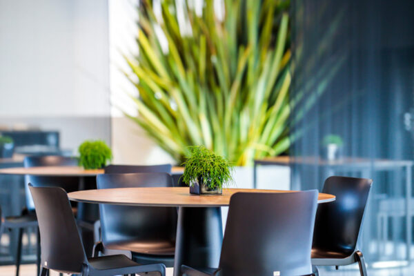Vase Dinner + Rostplatte & Kasar Stuhl – Schwarz Vase Dinner + Rostplatte & Kasar Stuhl – Schwarz