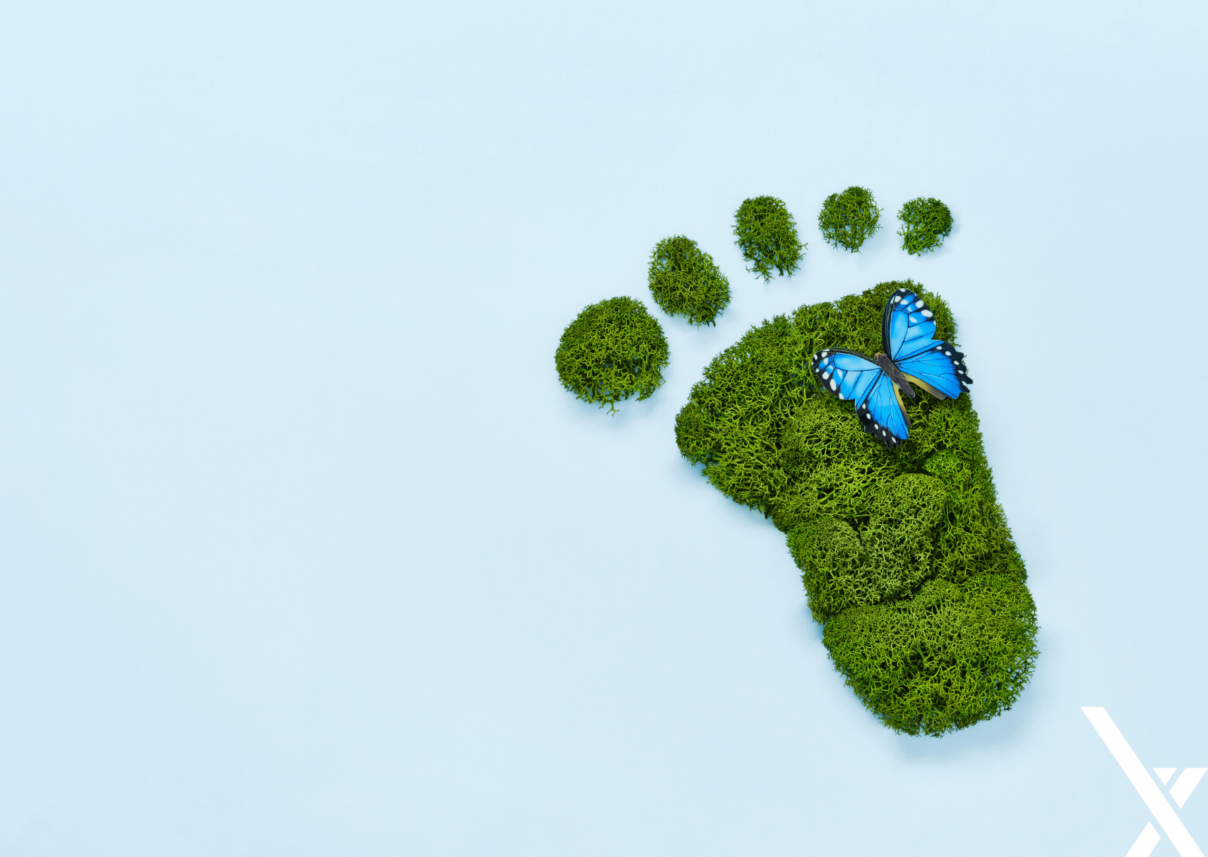 7 tips om je ecologische voetafdruk te verkleinen