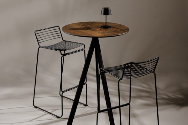 FF_WIRE_FLY_01 FF_WIRE_FLY_01